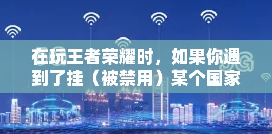 在玩王者荣耀时，如果你遇到了挂（被禁用）某个国家的VPN问题，可能是由于以下原因造成的