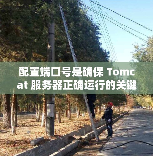 配置端口号是确保 Tomcat 服务器正确运行的关键步骤,以下是详细的步骤说明 配置端口号是确保 Tomcat 服务器正确运行的关键步骤,以下是详细的步骤说明