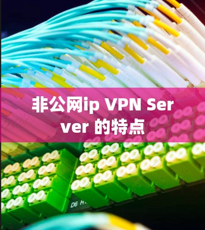 非公网ip VPN Server 的特点 非公网ip VPN Server 的特点