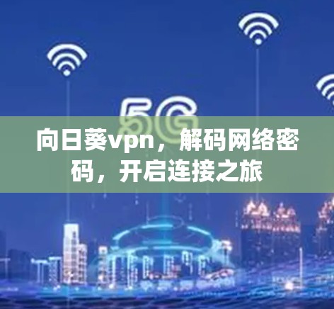 向日葵vpn，解码网络密码，开启连接之旅