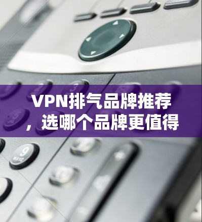 VPN排气品牌推荐,选哪个品牌更值得考虑? VPN排气品牌推荐,选哪个品牌更值得考虑?