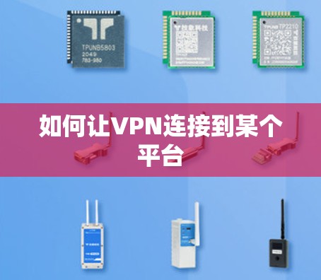 如何让VPN连接到某个平台
