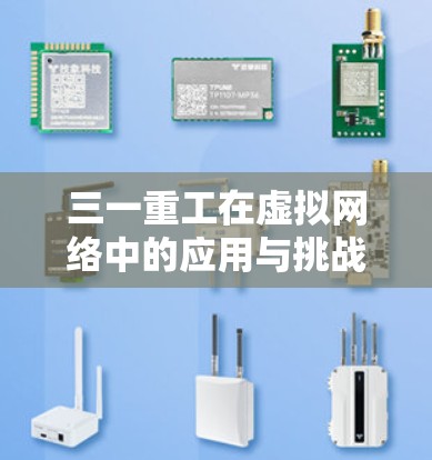 三一重工在虚拟网络中的应用与挑战