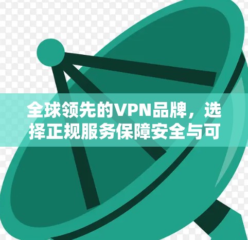 全球领先的VPN品牌，选择正规服务保障安全与可靠