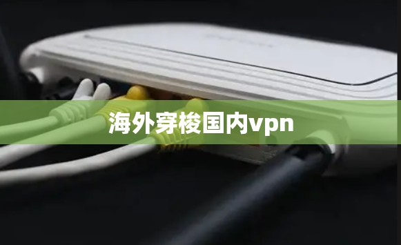 海外穿梭国内vpn