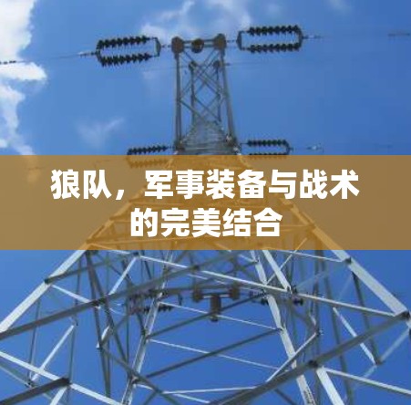 狼队,军事装备与战术的完美结合 狼队,军事装备与战术的完美结合