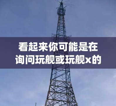 看起来你可能是在询问玩舰或玩舰x的意思，但vpn可能有其他含义，或者你可能输入时有误。以下是一些可能的解释和建议