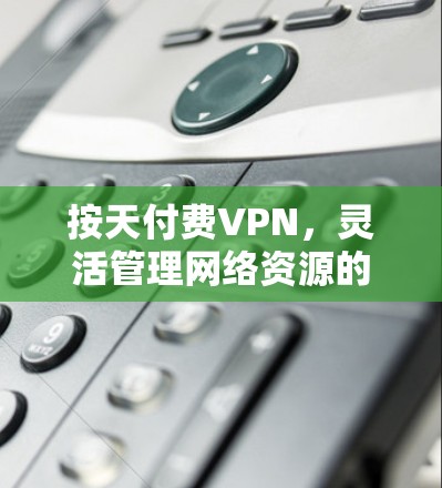 按天付费VPN,灵活管理网络资源的高效选择 按天付费VPN,灵活管理网络资源的高效选择