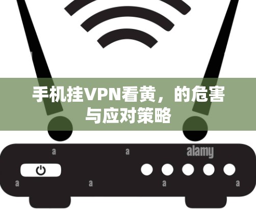 手机挂VPN看黄,的危害与应对策略 手机挂VPN看黄,的危害与应对策略