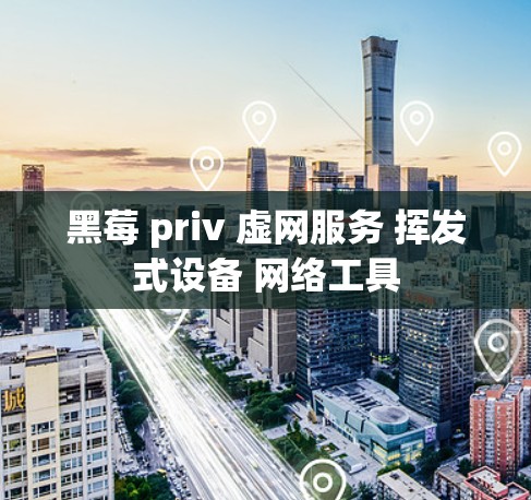 黑莓 priv 虚网服务 挥发式设备 网络工具