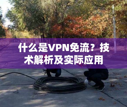 什么是VPN免流?技术解析及实际应用 什么是VPN免流?技术解析及实际应用