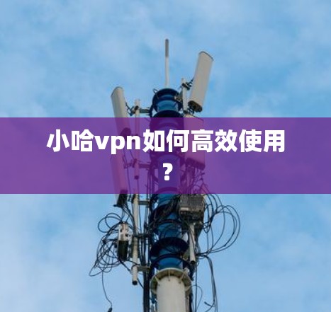 小哈vpn如何高效使用？
