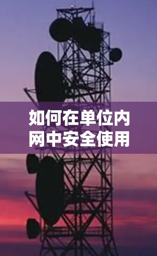 如何在单位内网中安全使用VPN