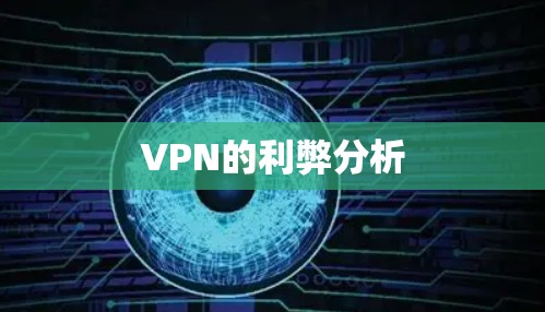 VPN的利弊分析 VPN的利弊分析