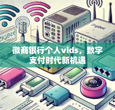 徽商银行个人vids，数字支付时代新机遇