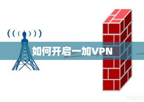 如何开启一加VPN