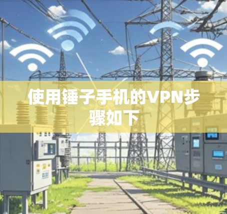 使用锤子手机的VPN步骤如下