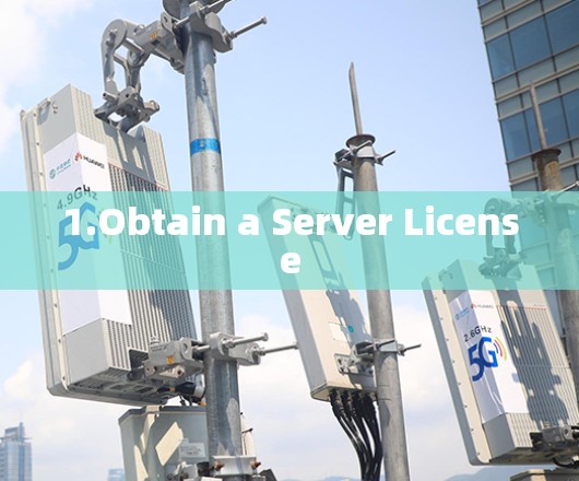 1.Obtain a Server License 1.Obtain a Server License