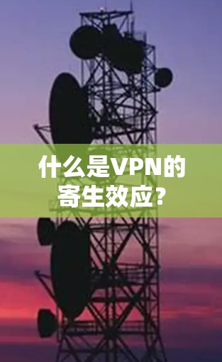 什么是VPN的寄生效应? 什么是VPN的寄生效应?