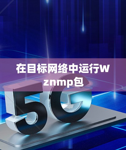 在目标网络中运行Wznmp包