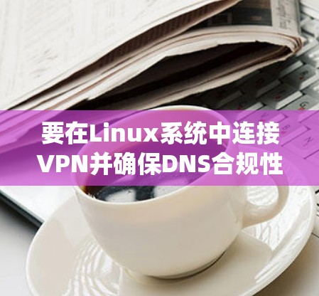 要在Linux系统中连接VPN并确保DNS合规性，可以按照以下步骤操作