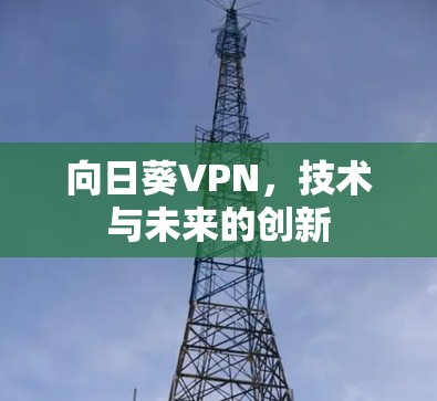 向日葵VPN，技术与未来的创新