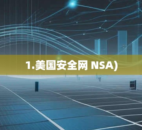 1.美国安全网 NSA) 1.美国安全网 NSA)