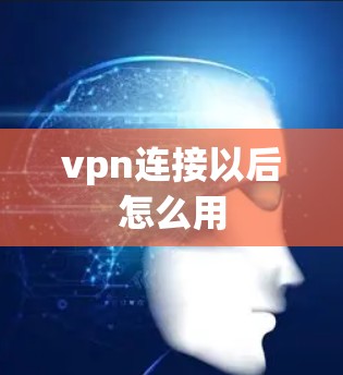 vpn连接以后怎么用