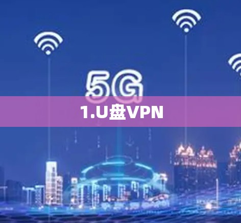 1.U盘VPN