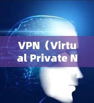 VPN（Virtual Private Network，VPN）主要用于访问外部互联网，提供了一个安全、私密的网络环境。以下是VPN的主要用途