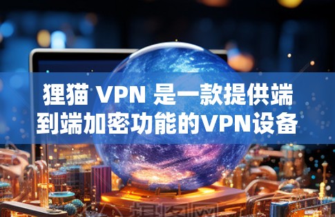 狸猫 VPN 是一款提供端到端加密功能的VPN设备，旨在提供安全的网络连接。以下是一步步的使用指南