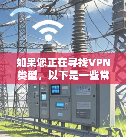 如果您正在寻找VPN类型，以下是一些常见的选项，以及它们的特点和适用场景