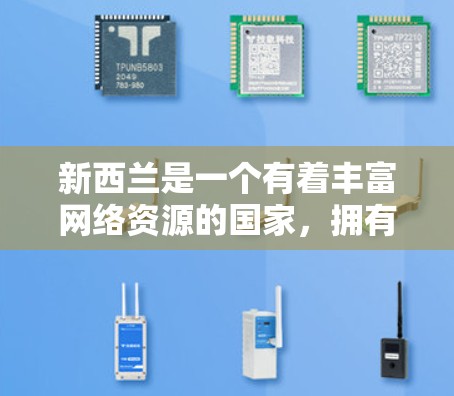 新西兰是一个有着丰富网络资源的国家，拥有多个地区的VPN服务选项。以下是新西兰地区有VPN服务的几个主要例子