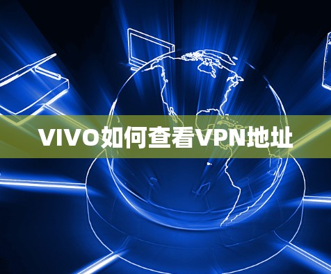 VIVO如何查看VPN地址