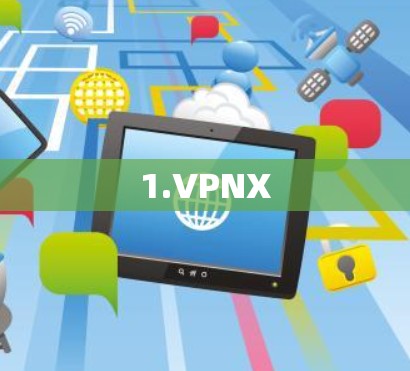 1.VPNX