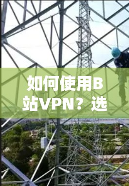 如何使用B站VPN?选择与安全相关的服务 如何使用B站VPN?选择与安全相关的服务