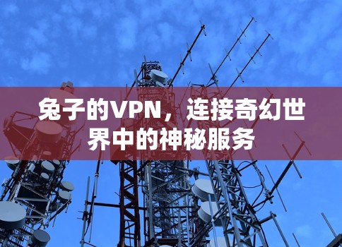 兔子的VPN，连接奇幻世界中的神秘服务