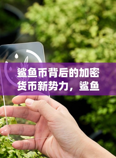 鲨鱼币背后的加密货币新势力,鲨鱼vpn安卓下载指南 鲨鱼币背后的加密货币新势力,鲨鱼vpn安卓下载指南