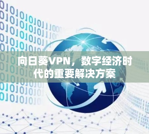 向日葵VPN,数字经济时代的重要解决方案 向日葵VPN,数字经济时代的重要解决方案