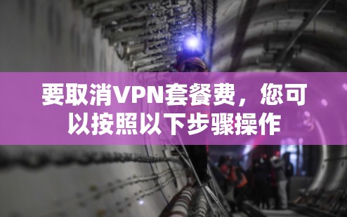 要取消VPN套餐费，您可以按照以下步骤操作