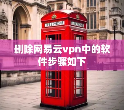 删除网易云vpn中的软件步骤如下 删除网易云vpn中的软件步骤如下