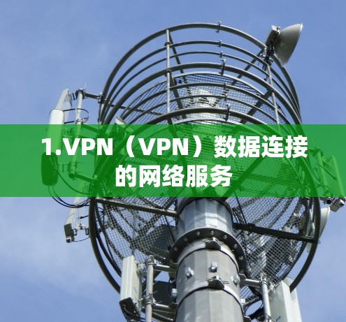 1.VPN(VPN)数据连接的网络服务 1.VPN(VPN)数据连接的网络服务