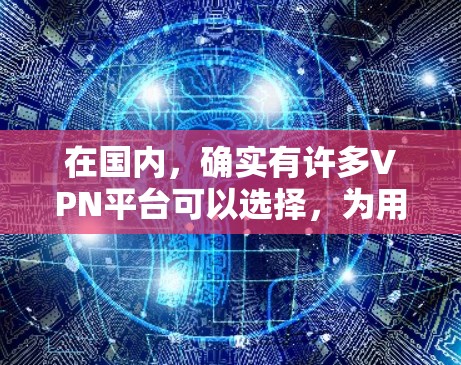 在国内，确实有许多VPN平台可以选择，为用户提供了多种方式来访问网络、观看视频或进行其他在线活动。以下是一些国内常用VPN平台及其特点