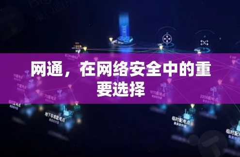 网通，在网络安全中的重要选择