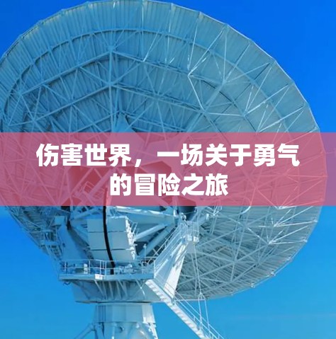 伤害世界,一场关于勇气的冒险之旅 伤害世界,一场关于勇气的冒险之旅