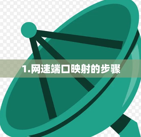 1.网速端口映射的步骤