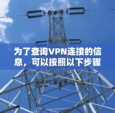 为了查询VPN连接的信息，可以按照以下步骤进行操作