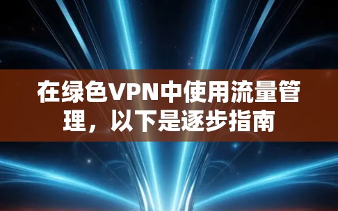 在绿色VPN中使用流量管理，以下是逐步指南