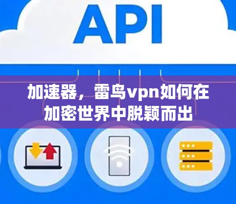 加速器，雷鸟vpn如何在加密世界中脱颖而出