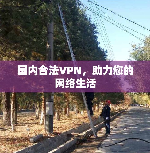 国内合法VPN，助力您的网络生活